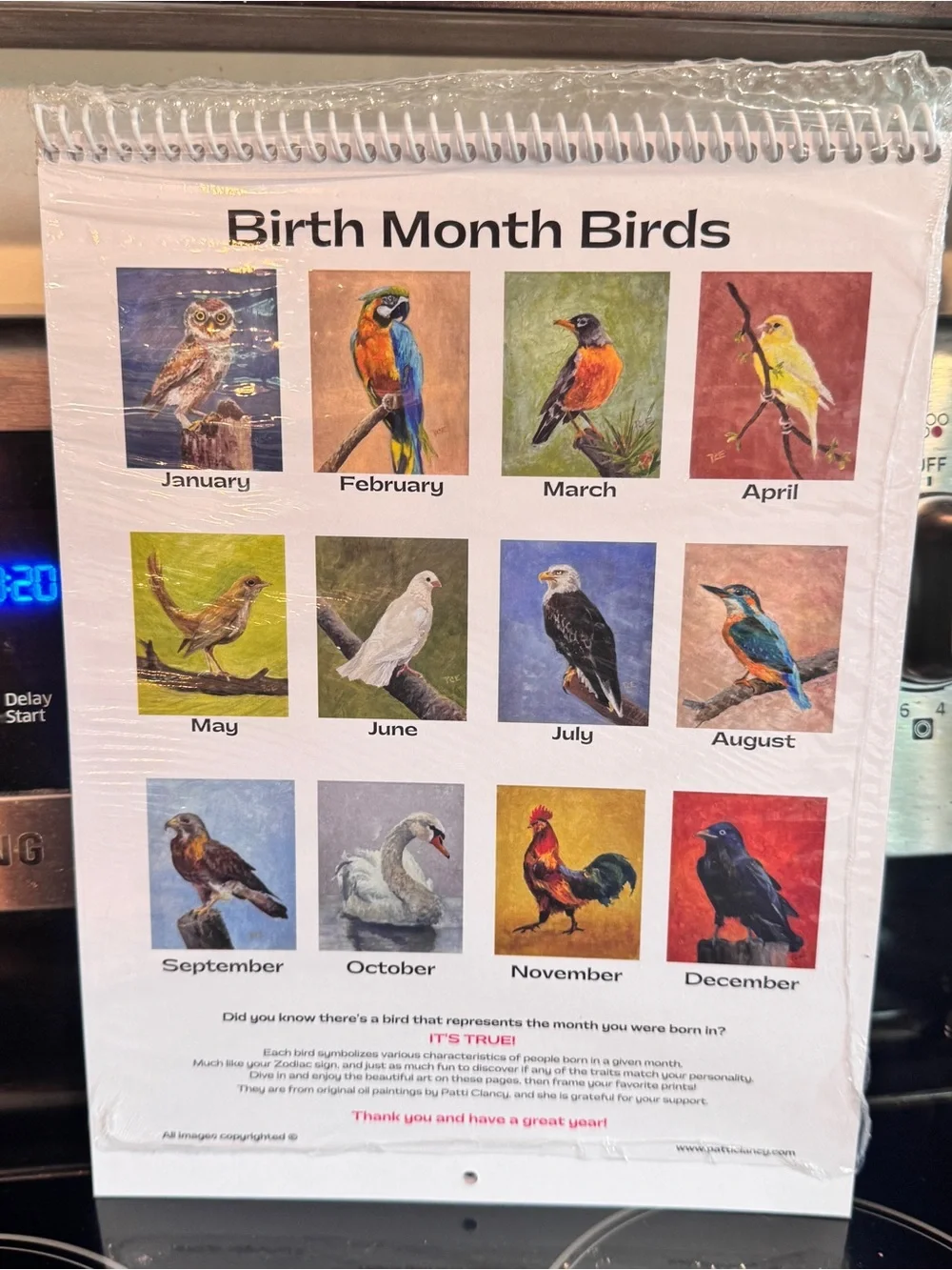12 Birds of the Month for Framing or Crafting original oil paintings P. Clancy
